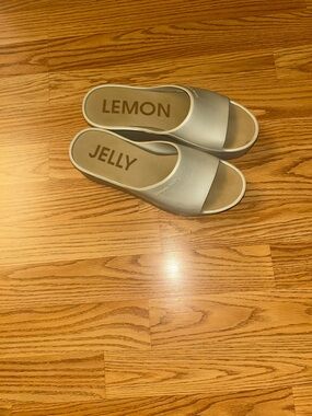LEMON JELLY Women’sSunny 05 Champagne Silver Platform Slides Sandals Size EU 39